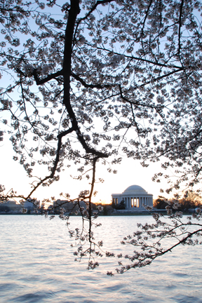 Jefferson Memorial, Washington DC