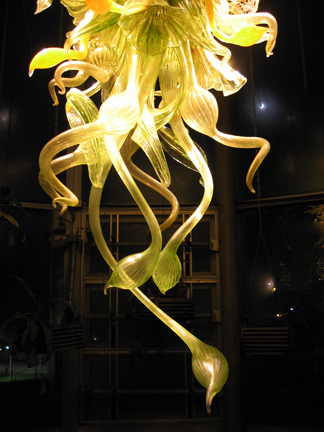 Chihuly0016w