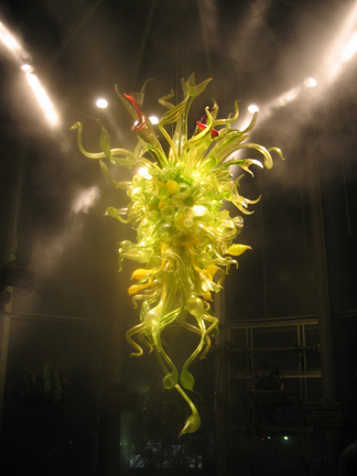 Chihuly0090w