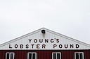 Lobster Pound