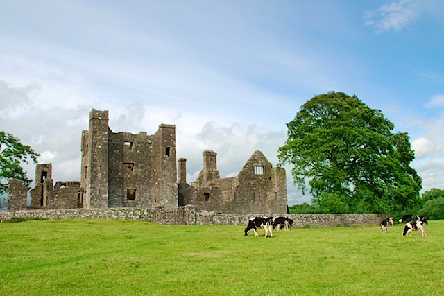 Bective Abbey, County Meath, Ireland