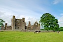 Bective Abbey