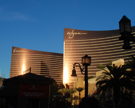 Wynn 1